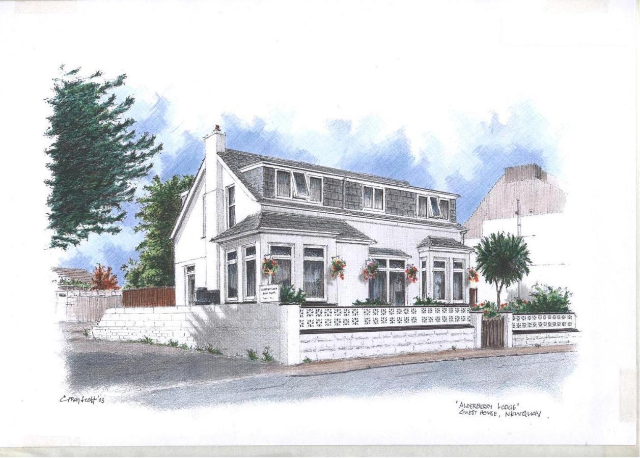Alderberry Lodge New Quay エクステリア 写真
